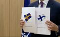 芬兰和瑞典为何要加入北约？