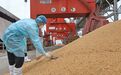 进口1亿吨粮食才能吃得好 中国粮食安全现状如何？