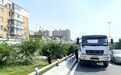 长春市朝阳区住建局：精细绿化管护 用心扮靓朝阳
