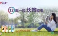 小狗身上跳蚤怎么去掉小妙招？贝卫多让你没烦恼