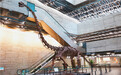 中国恐龙“霸气”来甬 宁波博物院明日开展