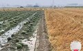 保定清苑区强对流天气致6乡镇受灾，正全力做好灾后救助工作