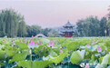 ​保定古莲花池：闹市蓬莱历经八百年，两首诗记录她明朝重修后盛景
