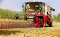 全国“三夏”小麦大规模机收基本结束