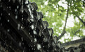 过程性降雨+阶段性高温 苏州正式进入梅雨季