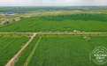 【大国粮仓】 累计建成4030万亩！吉林省大力推进高标准农田建设
