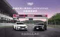 纯粹的大排量性能野兽，实拍凯迪拉克V系列BLACKWING