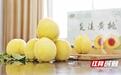 炎陵黄桃为何能享誉海内外？