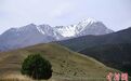 圣洁的巴尔斯雪山 裕固族人心中的神山圣地