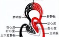 【豫健科普】西方医学故事：静脉血是如何变成动脉血的？