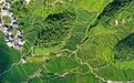江西遂川：高山梯田 蔚为壮观