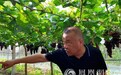 渭南大荔：埝桥镇南高迁村“党建＋”实现乡村振兴新发展