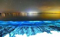 荧光海，澳大利亚的“蓝眼泪”