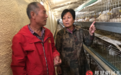 勇担使命服务“三农”  ——记最美科技工作者、河北科技师范学院教授史秋梅