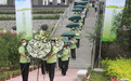 节地生态葬将变为常态化！河北石家庄举办花坛公益环保葬