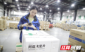 国产首个新冠口服药“阿兹夫定片”抵湘