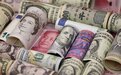 金砖国际论坛主席：俄印贸易不再需要美元