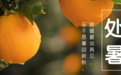 处暑养生，请牢记这三条秘诀