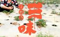 海报丨十四道“丰”味 尝尝湖南的秋