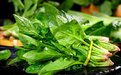 小心，这些菜虽然也叫“菠菜”，但不是真菠菜