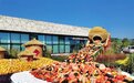 太原360万盆鲜花喜迎国庆