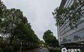湖南中北部地区雨水“抢镜” 道路湿滑注意返程安全