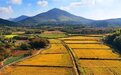 党的二十大代表赵亚夫：让“戴庄经验”在全国更多地区推广