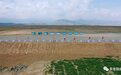 白银景泰基础设施加速建 让百姓乐享“民生福利”