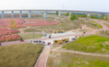 郏县：湿地公园风光好 生态美景展新貌