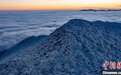 西安朱雀国家森林公园现“积雪浮云端”初冬盛景