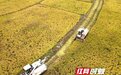 湖南双峰：农机助力粮满仓