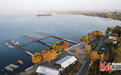 河北磁县：湿地生态美 候鸟入画来