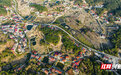 娄底石塘村：生态种养，绿了荒山富了民