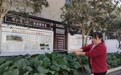 村民共种同享 黄陂李文三村打造“共享小菜园”