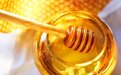 蜂蜜水真的可以减肥吗？可以，但有4点要留意
