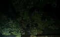 投资近1.3亿元，宁波市中心这个老旧街区要改造！