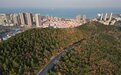 串山，观海，揽城！烟台这条山海步道辉映一城芳华