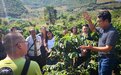 星巴克“共享价值”云南咖啡产业扶持系列项目：从脱贫攻坚到乡村振兴，打造具有示范意义的云南咖啡产业发展之路