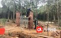 无相关手续建公墓？进贤县老王村林下建墓叫停一年后重启