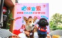 助力流浪动物关爱计划，必胜客牵手它基金共赴爱TA行动