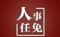 最新！中央任命！31省市委书记！
