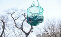 东钱湖冬捕“第一网”来了！