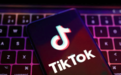 TikTok因在线跟踪被法国罚款500万欧元 又被美国一州封禁