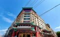 金梧桐提名餐厅丨金春大酒店