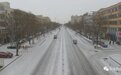 兔年首场降雪“报到” 景泰一不小心“白了头”
