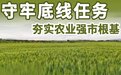 海报丨建设农业强市，金昌五项重点任务很扎实