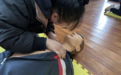 “救”在校园！配置学校AED除颤仪，普及急救知识刻不容缓