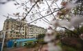 公共收益改归谁？南京一物业被判返还10年公共收益124万元