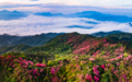 情暖大别山 共话山海情 上海—六安自驾游首发