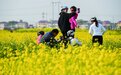 樟树：油菜花开游客乐（图）